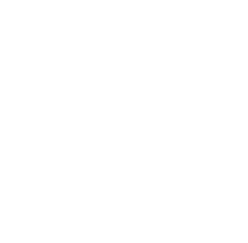ib world school logo white solid rev